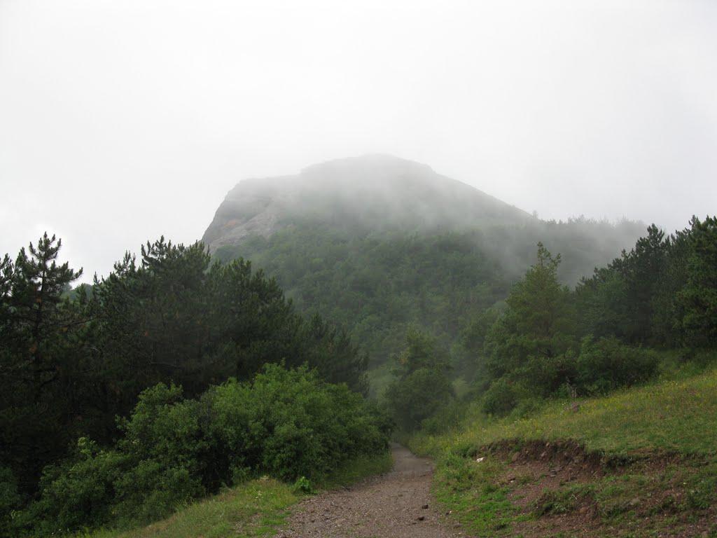 Лаванда з panoramio.com (ч.2) - Lavanda