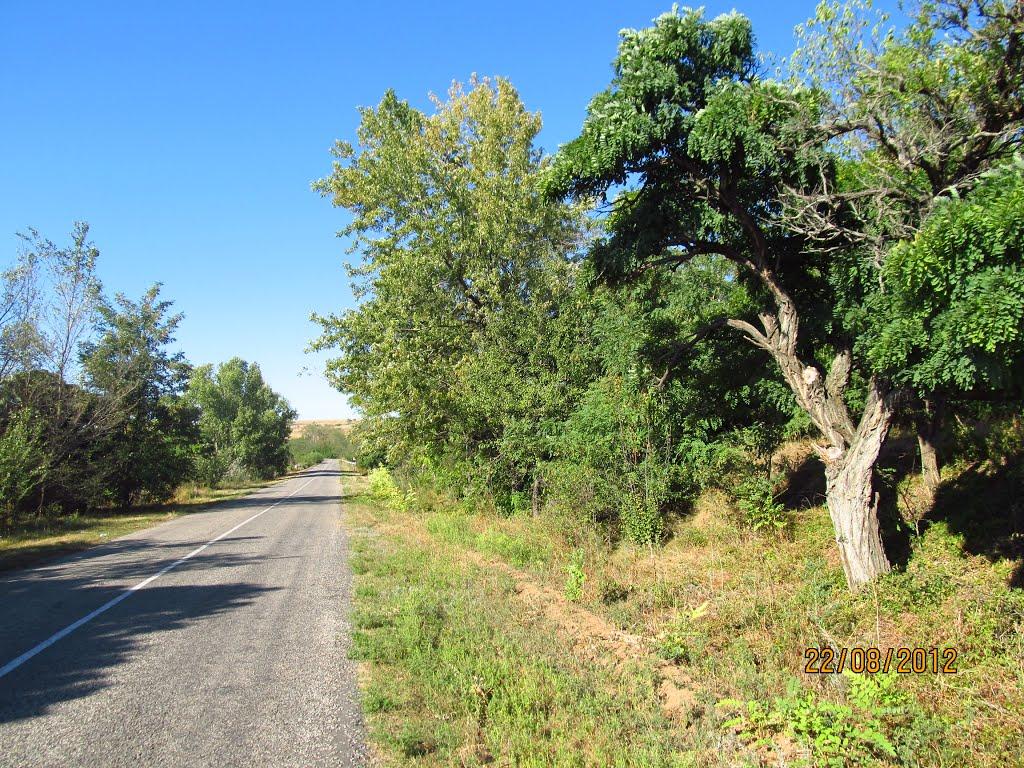 Виноградне з panoramio.com - Виноградне