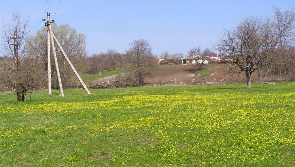 Кам'янка з panoramio.com - Кам'янка