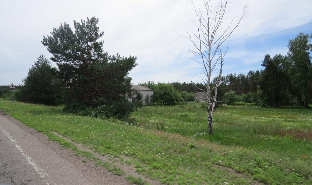 Софіївка з panoramio.com - Софіївка