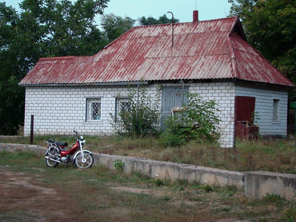 Косарі з panoramio.com (ч.2) - Косари