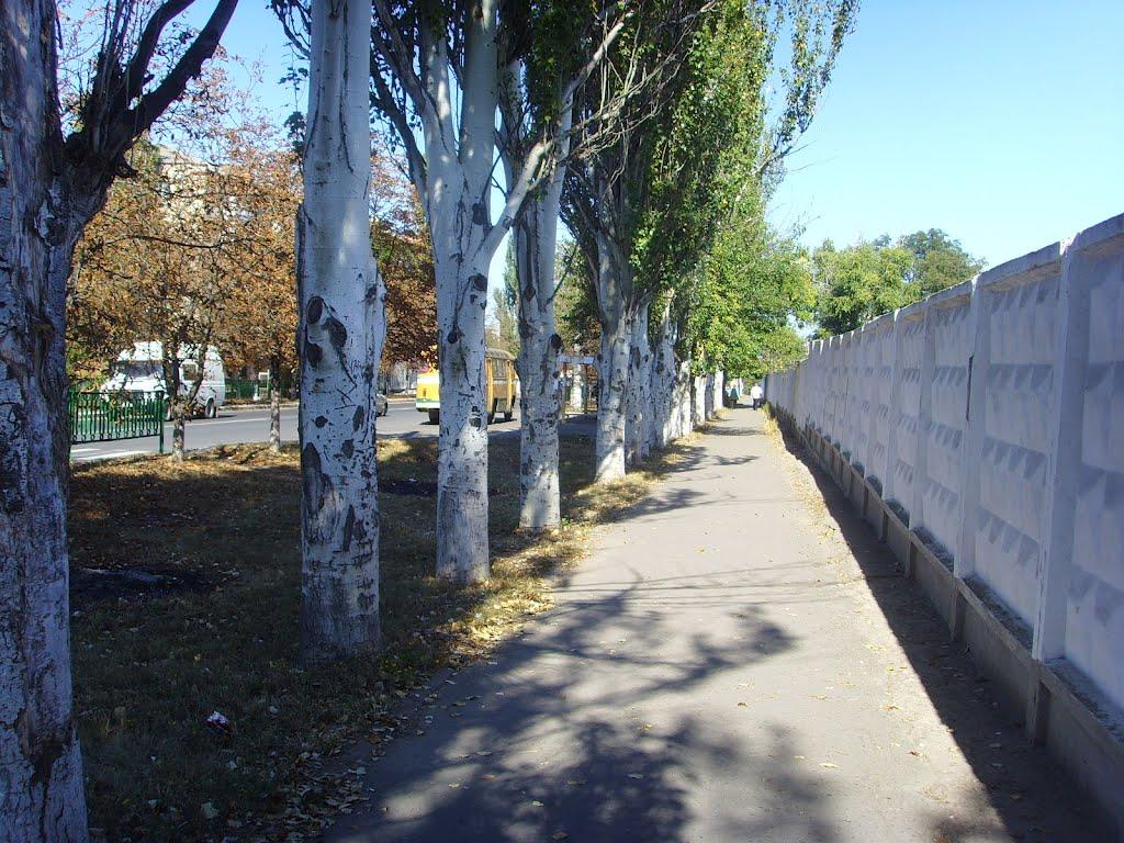 Первомайськ з panoramio.com (ч.2) - Первомайск