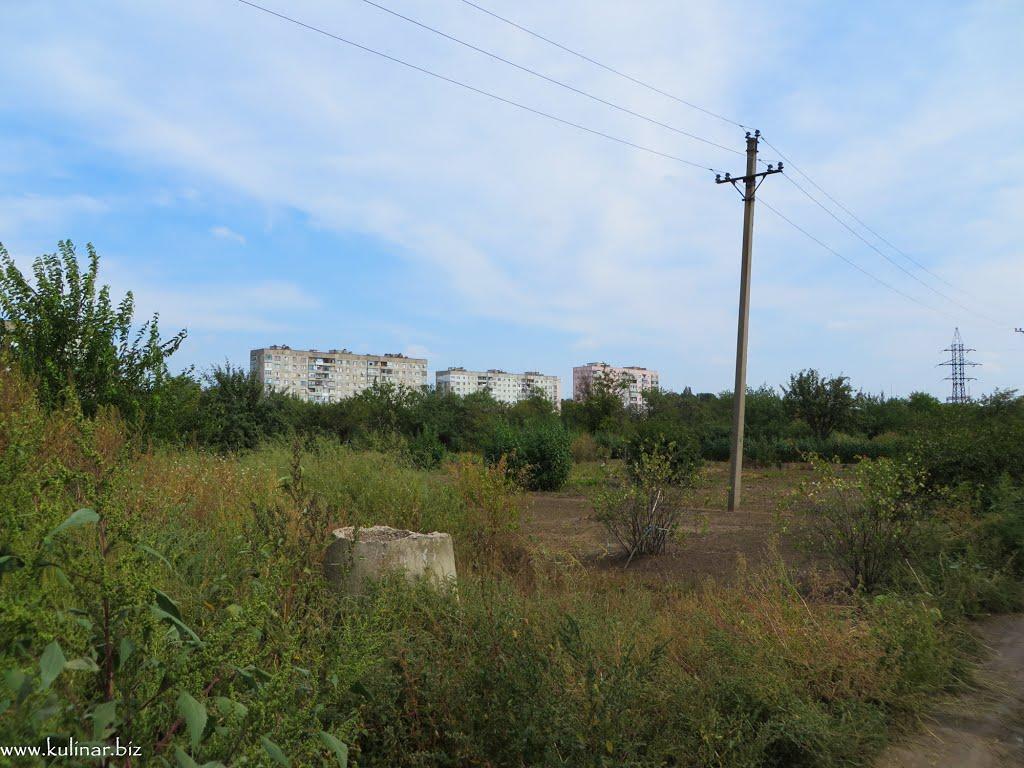 Токмак з panoramio.com - Токмак