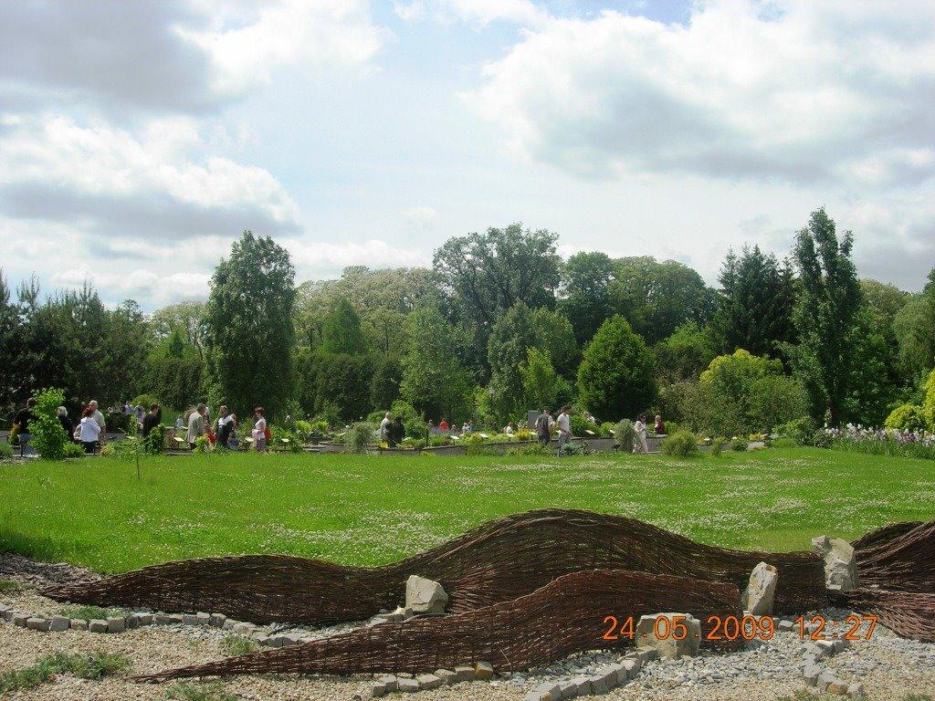 Циків з panoramio.com - Цыков