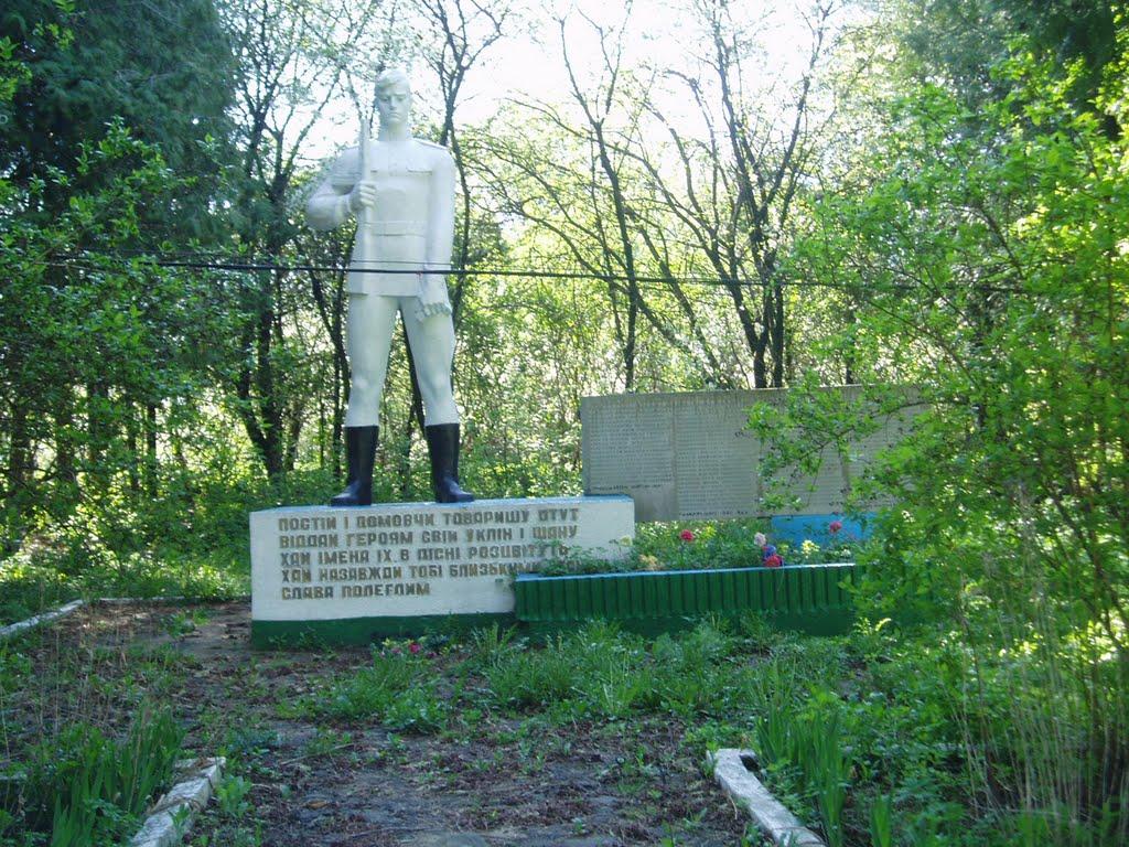 Лука з panoramio.com - Лука