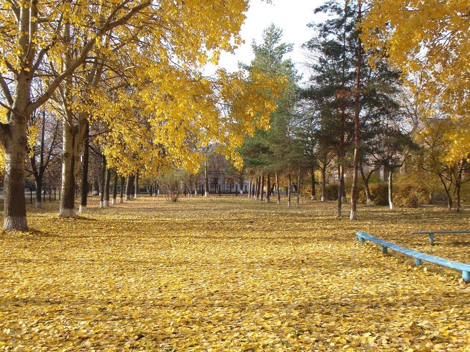Вереміївка з panoramio.com - Веремиевка