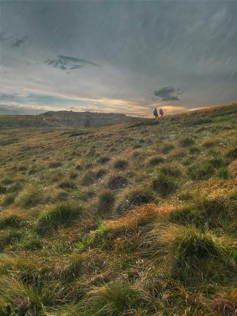 Розовий з panoramio.com (ч.2) - Розовый