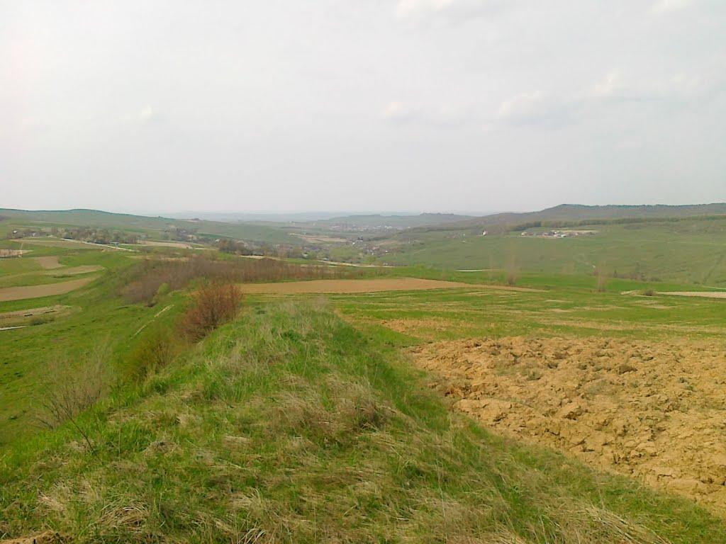 Могилівка з panoramio.com - Могилівка