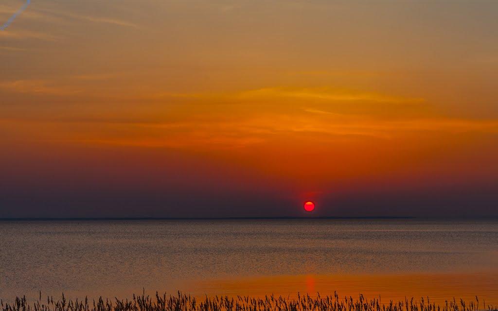 Лошакова Гута з panoramio.com - Loshakova Guta