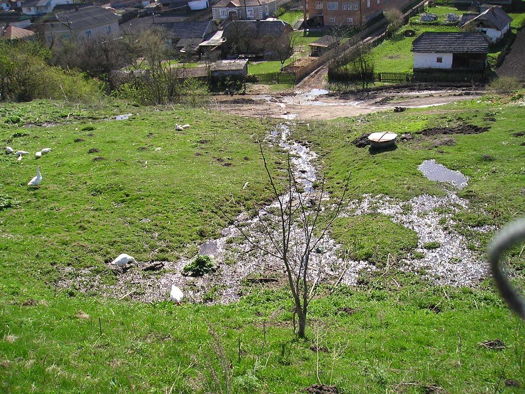 Гончарівка з panoramio.com - Гончарівка
