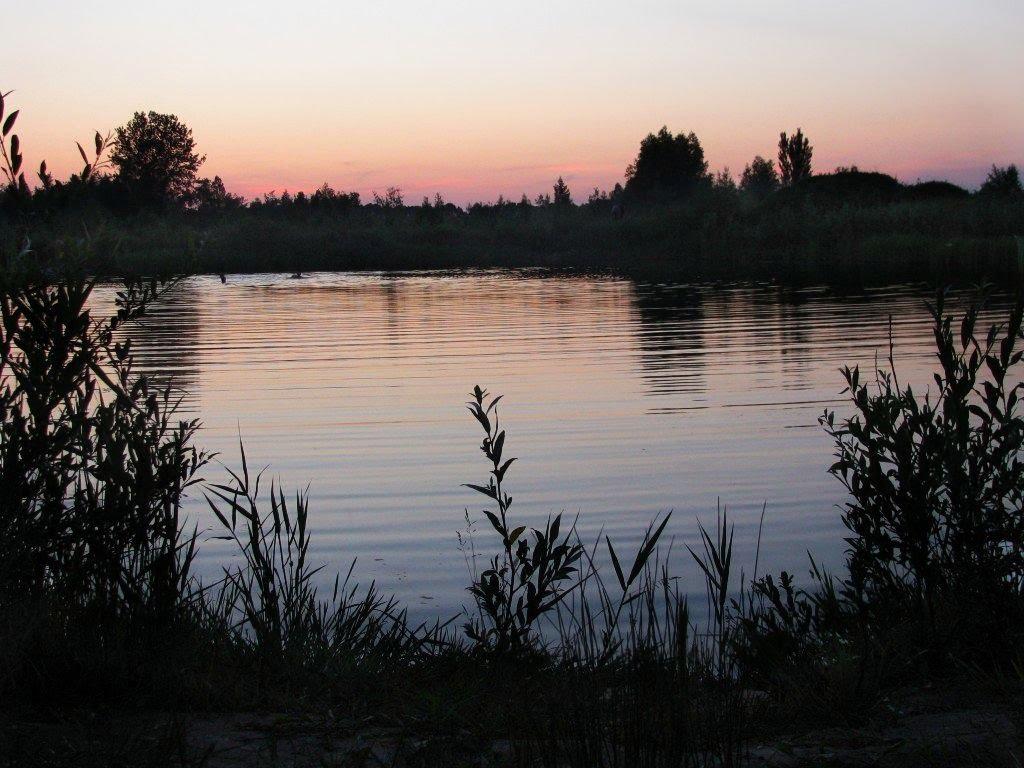 Товкачівка з panoramio.com - Товкачівка