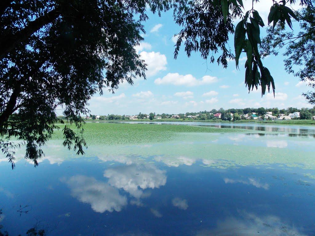 Дашів з panoramio.com - Dashiv