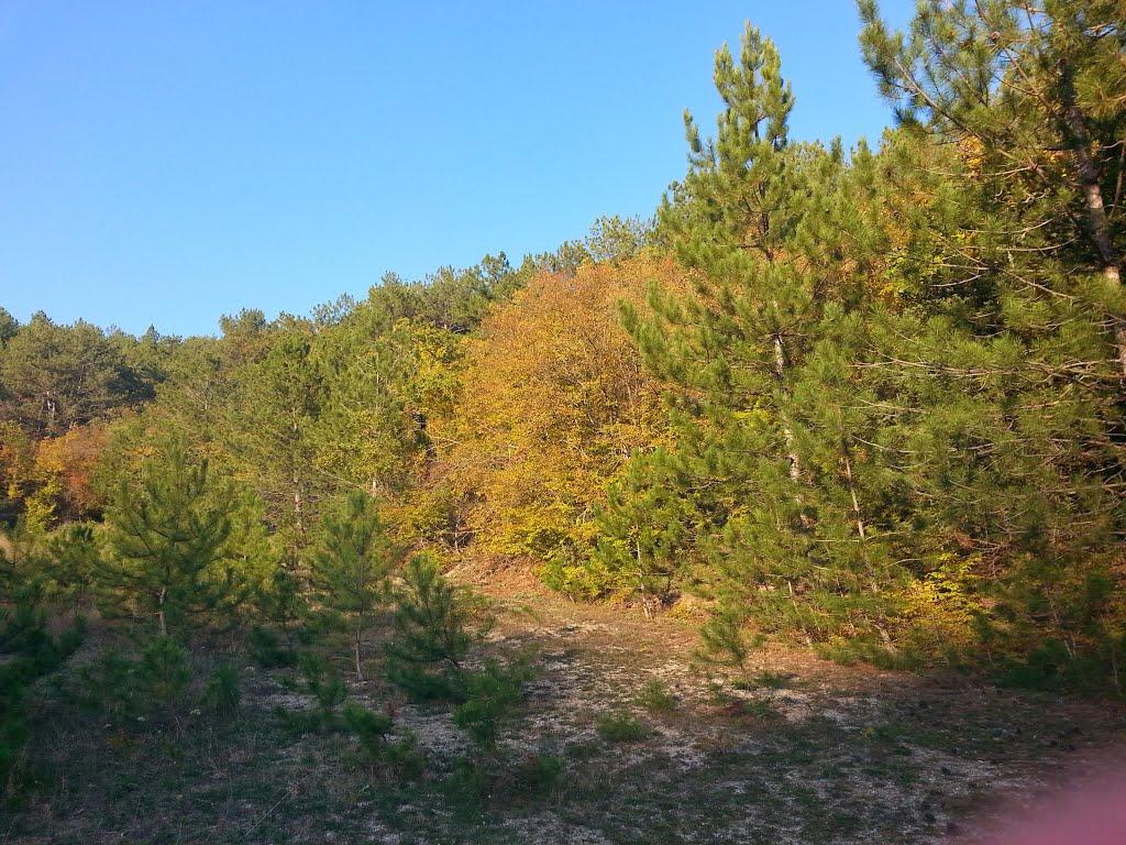 Тернівка з panoramio.com (ч.3) - Терновка