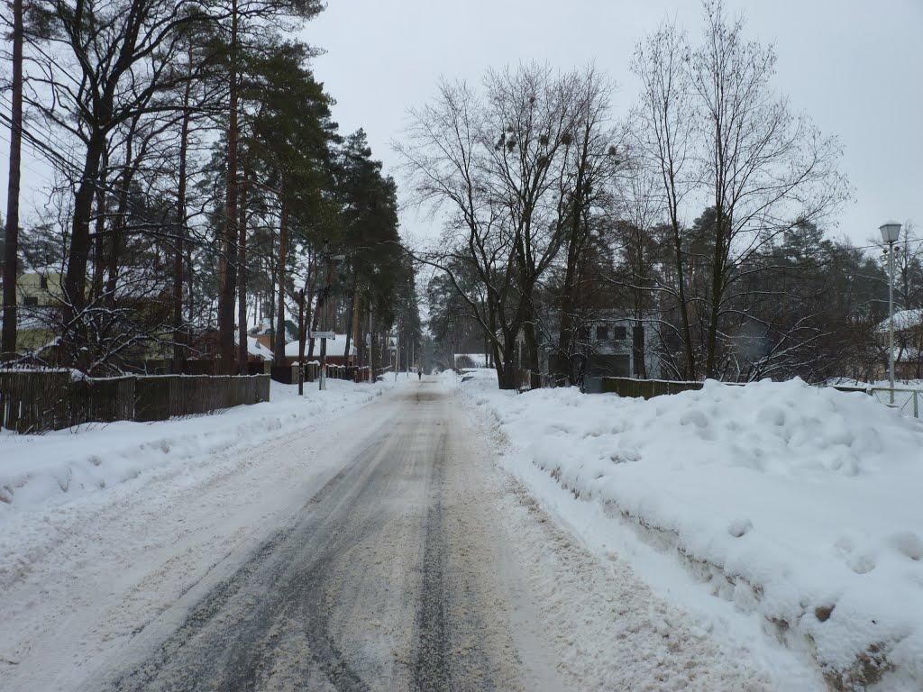 Ірпінь з panoramio.com (ч.2) - Ирпень