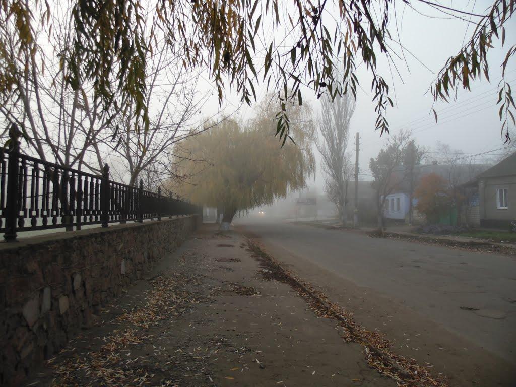 Березнегувате з panoramio.com - Березнегувате