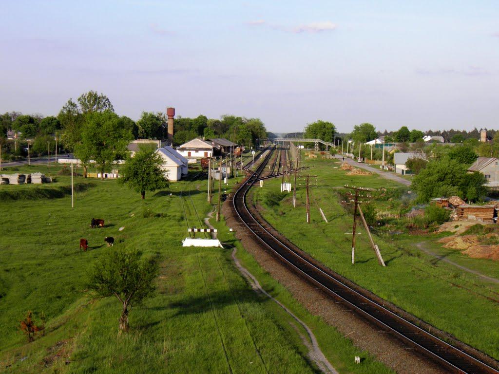 Маневичі з panoramio.com - Маневичі