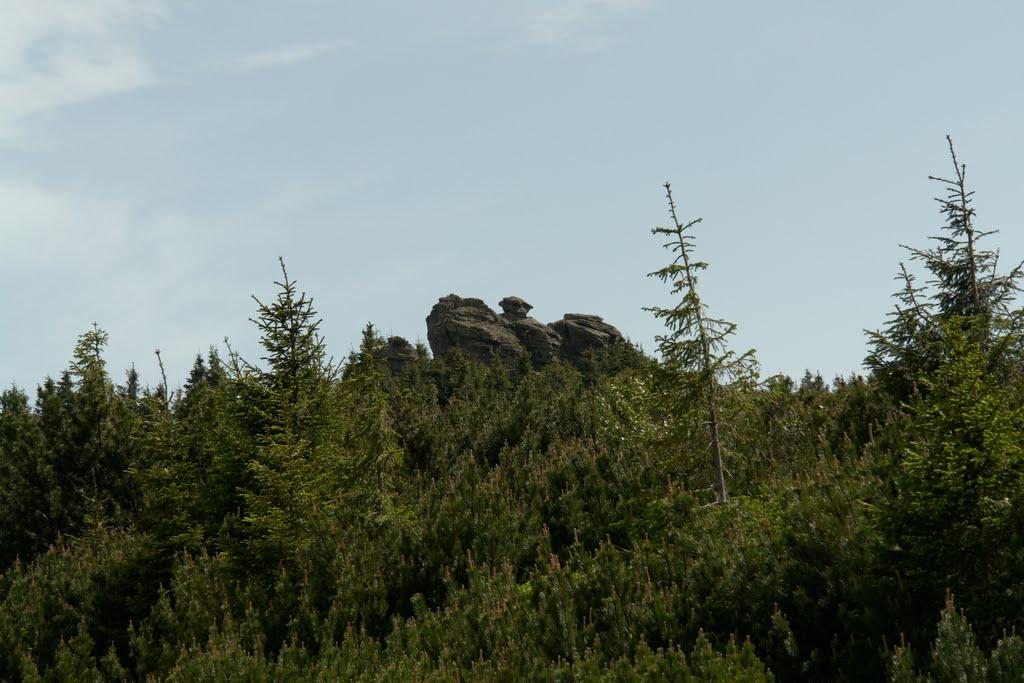 Великий Бичків з panoramio.com - Великий Бичків