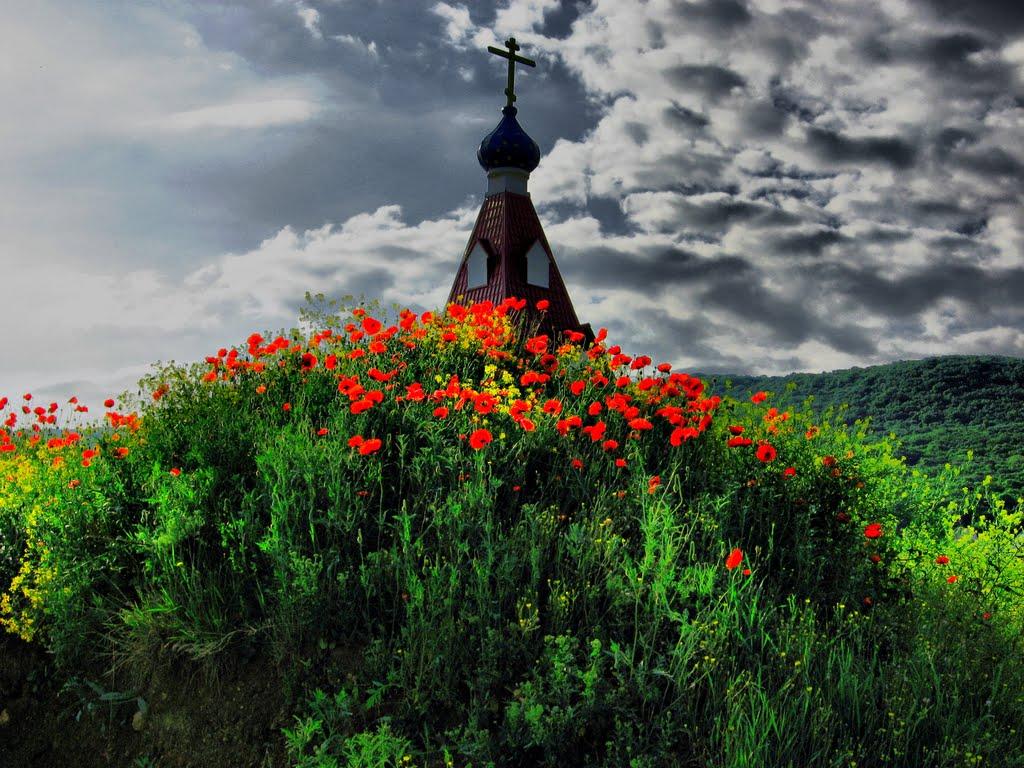 Чайковське з panoramio.com (ч.2) - Чайковське