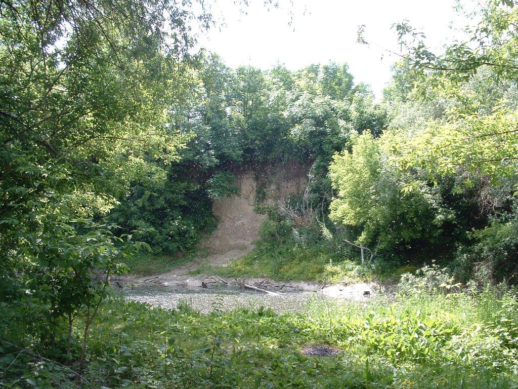 Лежниця з panoramio.com - Лежниця