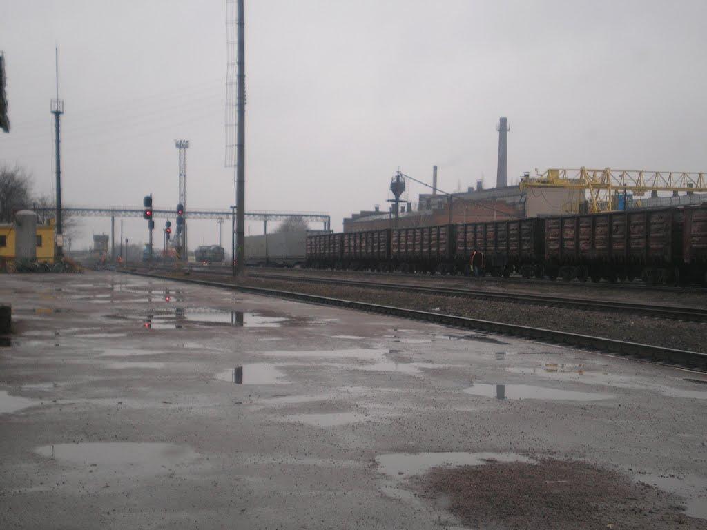 Сарни з panoramio.com - Сарны