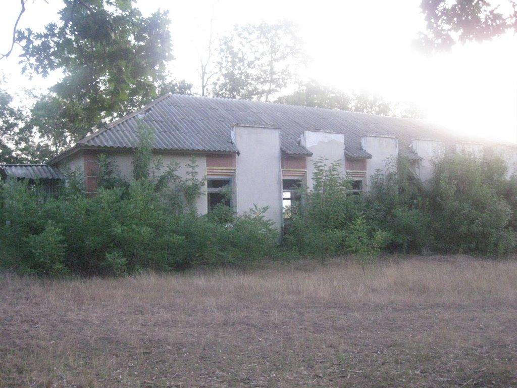 Височанське з panoramio.com - Височанське