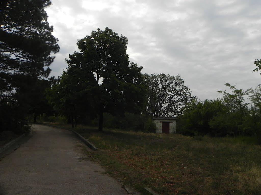Научний з panoramio.com - Научний