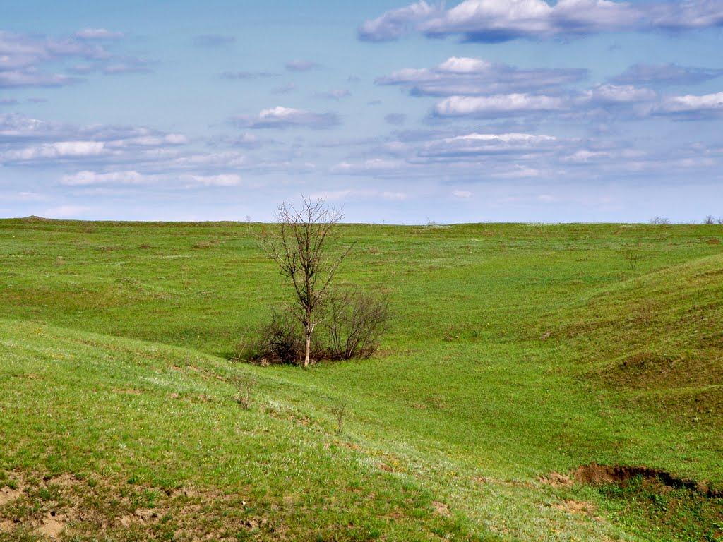 Слов'янка з panoramio.com - Слов'янка