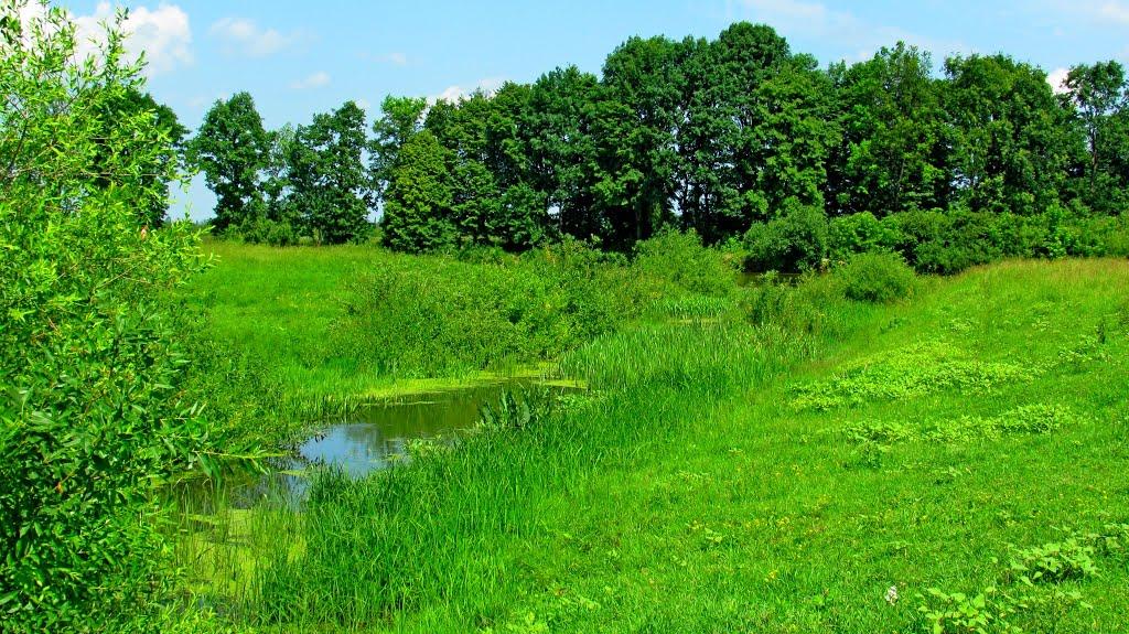 Ремчиці з panoramio.com - Ремчиці