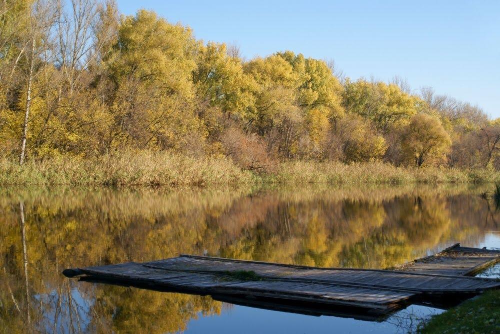 Старобільськ з panoramio.com - Старобільськ