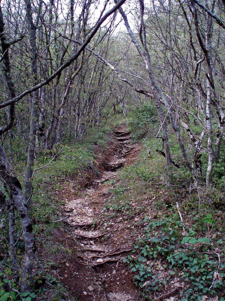 Голуба Затока з panoramio.com (ч.2) - Голубая Затока