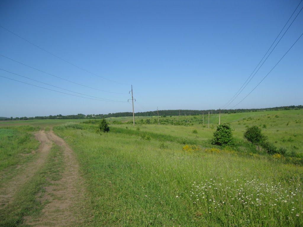 Плужне з panoramio.com - Плужне