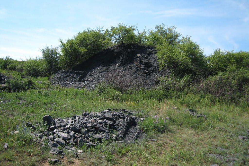 Шовкова Протока з panoramio.com - Шовкова Протока