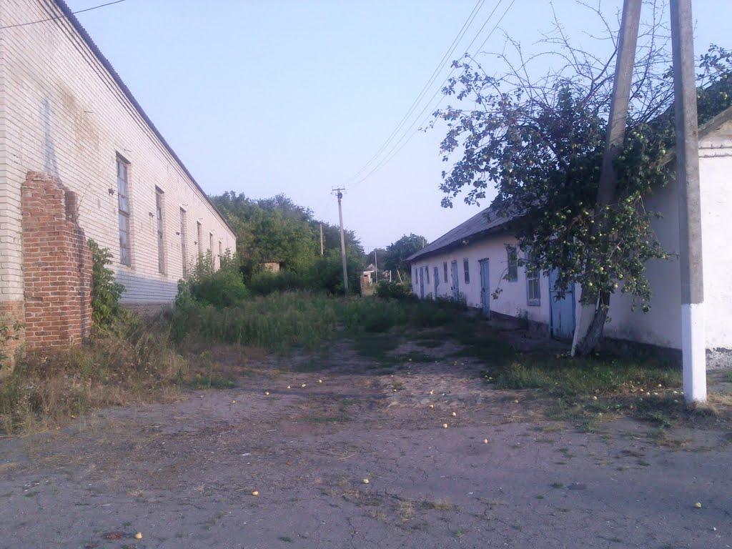 Покровське з panoramio.com - Покровське