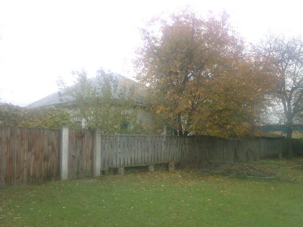 Безкровне з panoramio.com - Безкровне