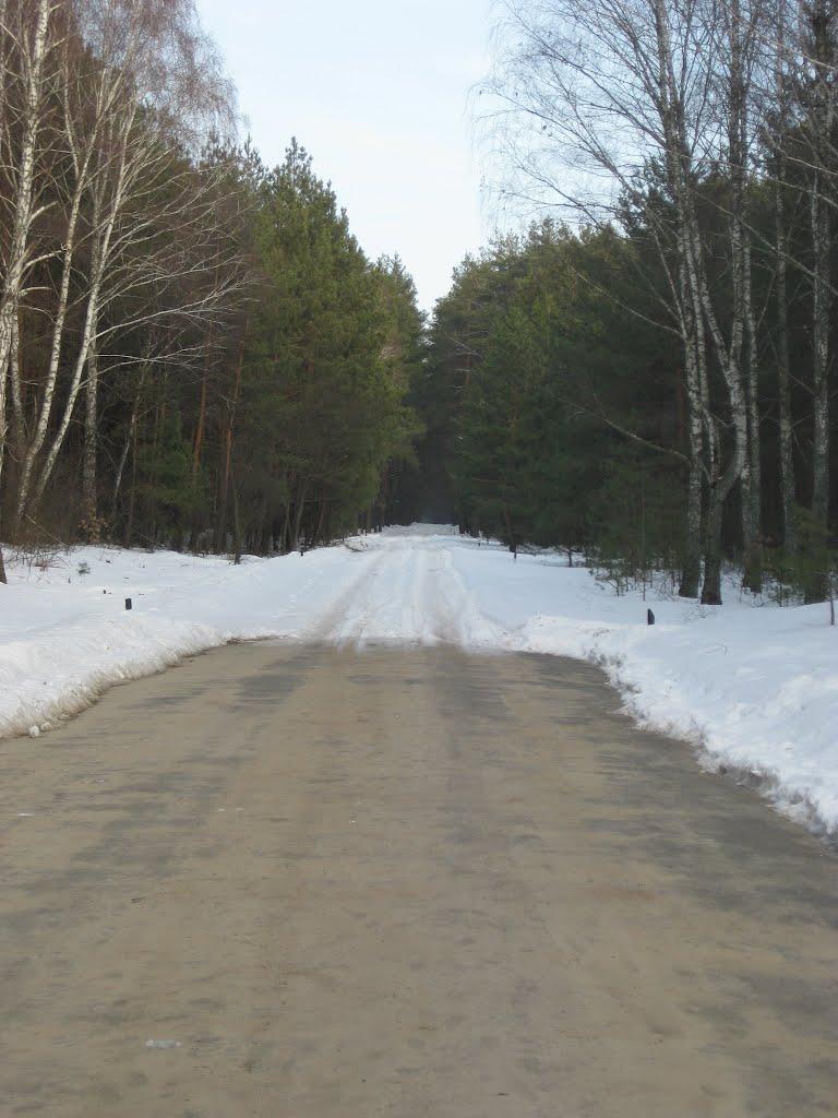 Десна з panoramio.com - Десна