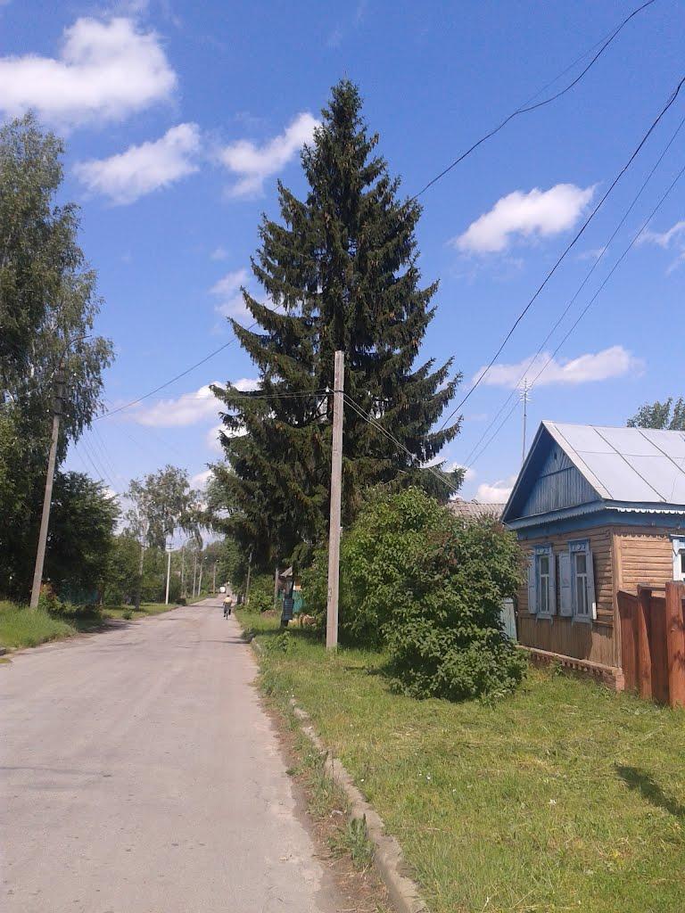 Городня з panoramio.com - Городня