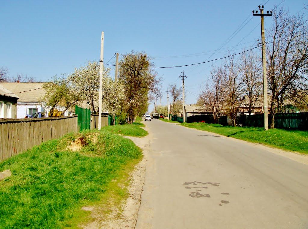 Гудзівка з panoramio.com - Gudzivka