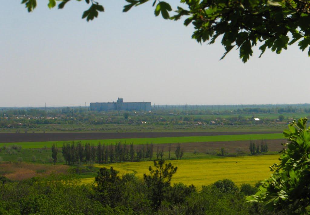 Виноградне з panoramio.com - Виноградне