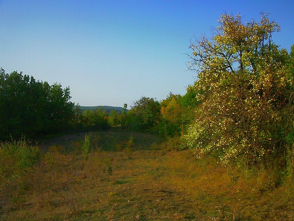 Богатир з panoramio.com - Богатир