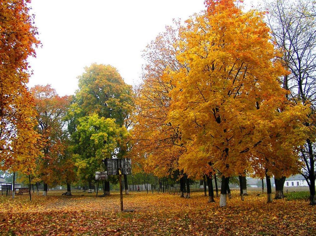 Пугачівка з panoramio.com - Пугачівка