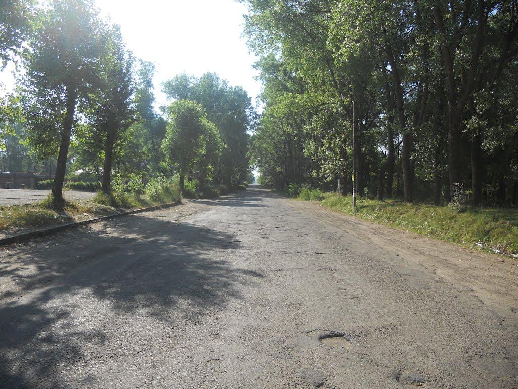 Новий Розділ з panoramio.com - Novyy Rozdil