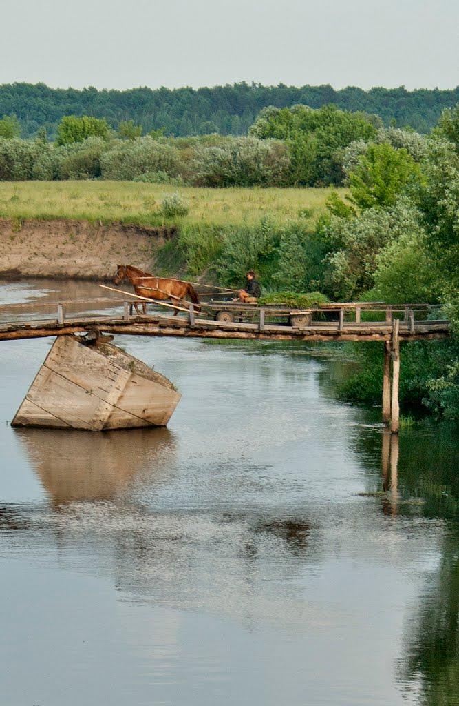 Вірля з panoramio.com - Вірля