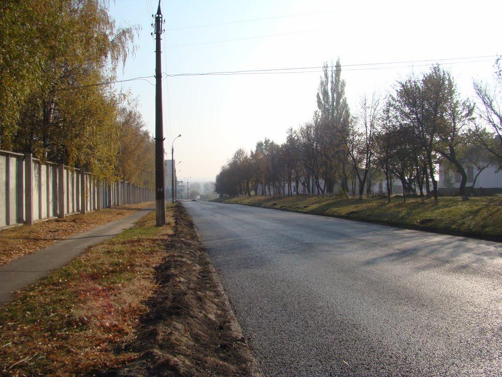 Косарі з panoramio.com (ч.2) - Косари
