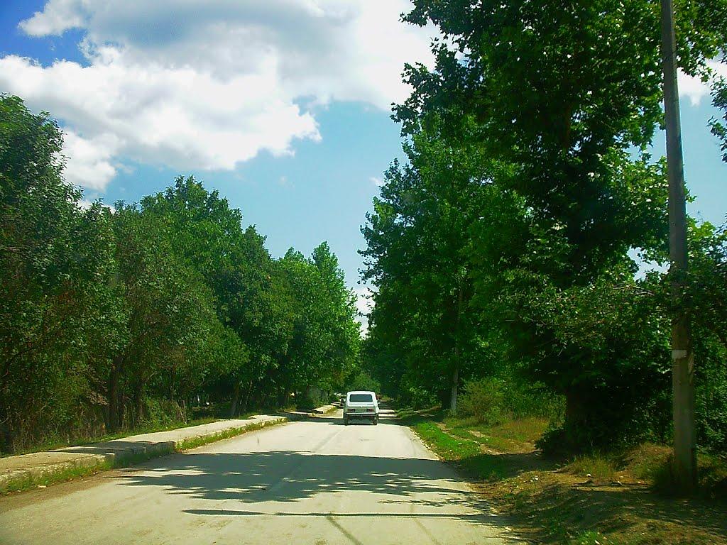 Верхоріччя з panoramio.com - Верхоречье