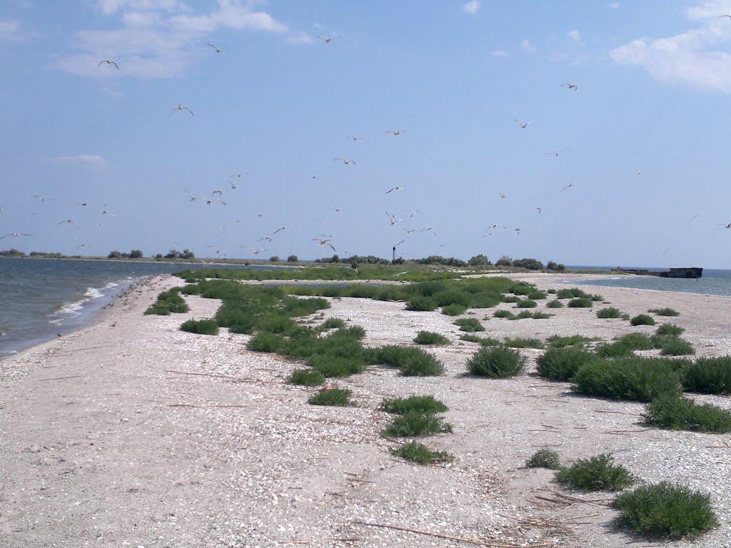 Очаків з panoramio.com - Очаков