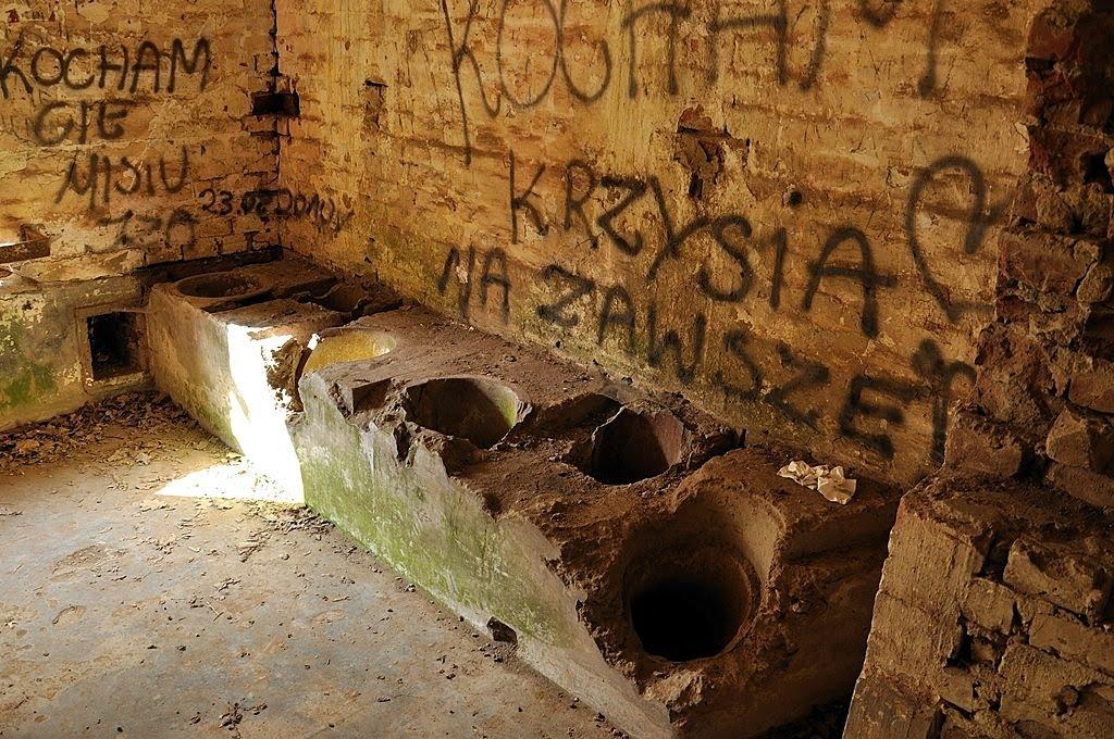 Биків з panoramio.com - Быков