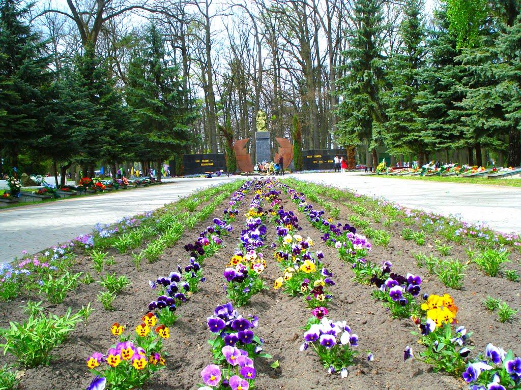 Ківерці з panoramio.com - Ківерці