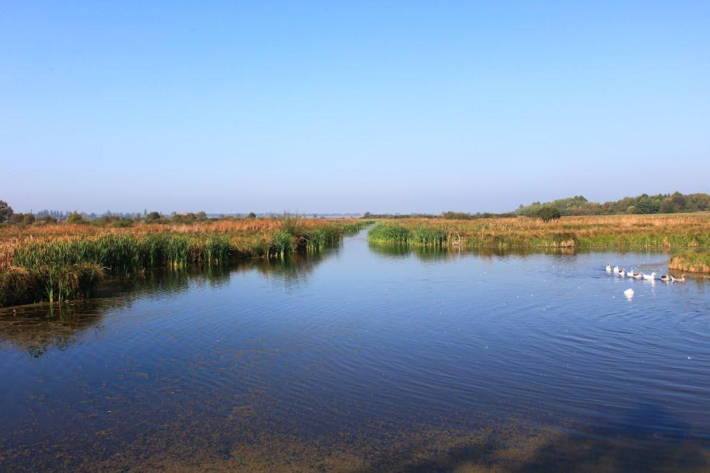 Яроповичі з panoramio.com - Яроповичі