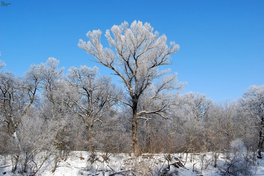 Приліпка з panoramio.com - Прилипка