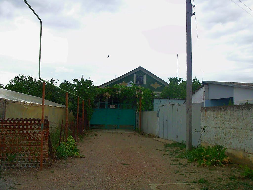 Шевченкове з panoramio.com - Шевченково